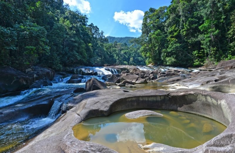 Endau Rompin National Park recognised as Asean heritage park